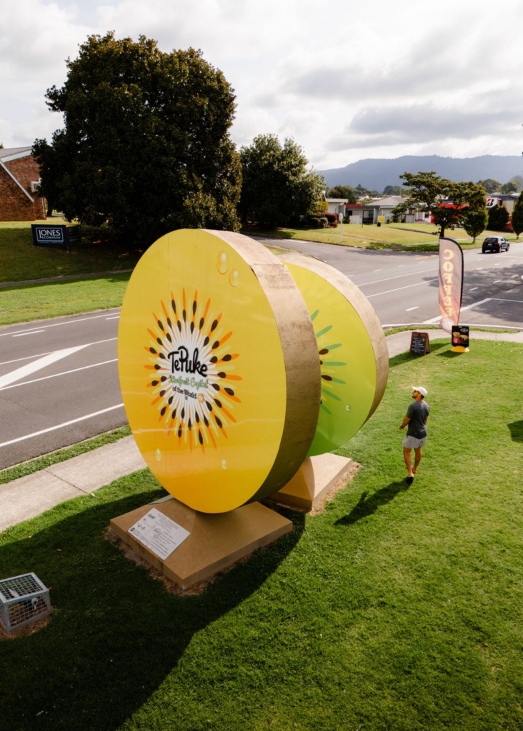 21 BIG Things in New Zealand
