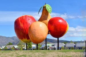 21 BIG Things in New Zealand