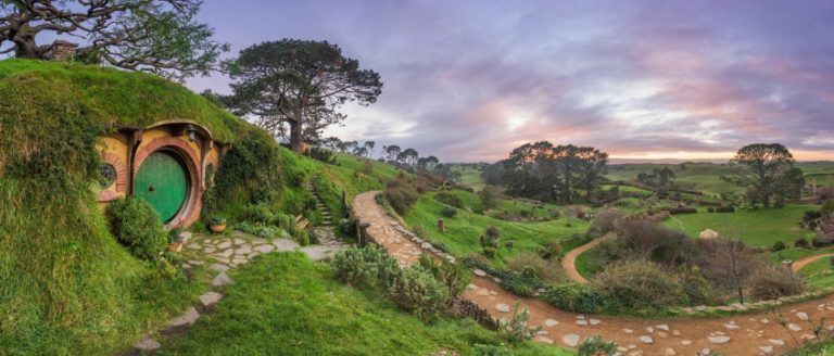 Waikato - Guide for Backpackers