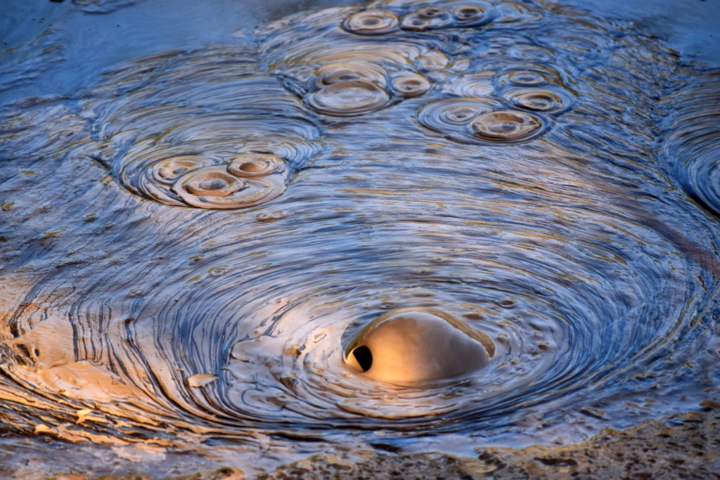 100 New Zealand Souvenirs for Your Friends and Family