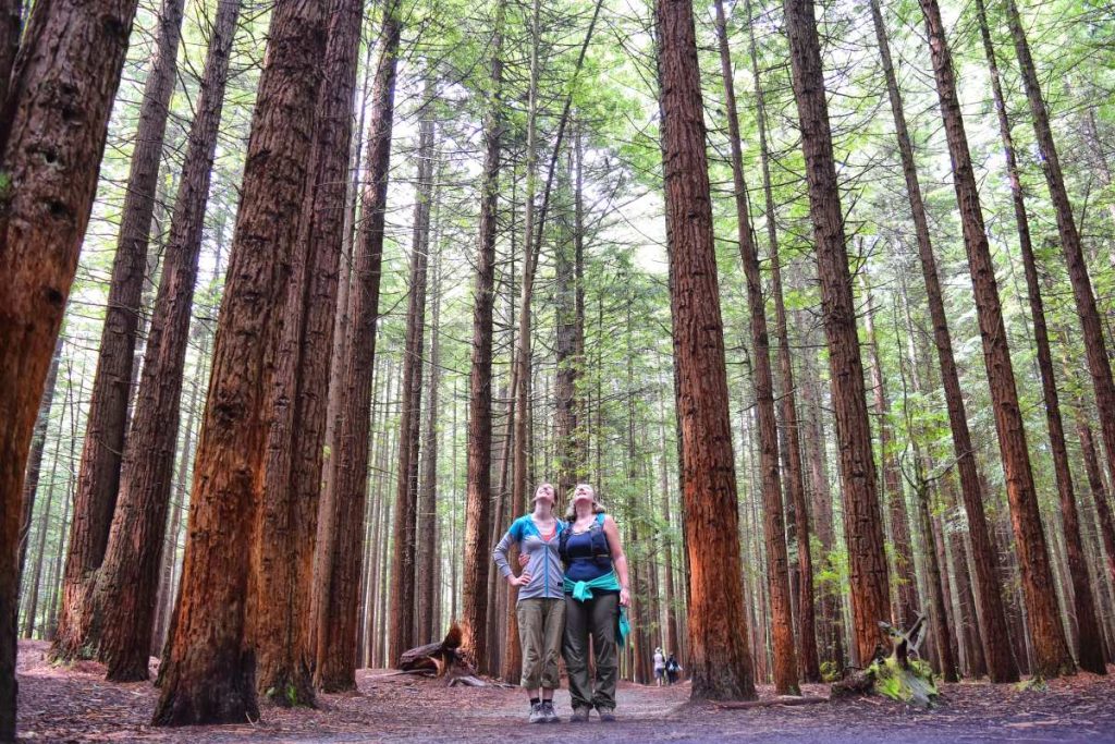 15 Free & Cheap Things to Do in Rotorua