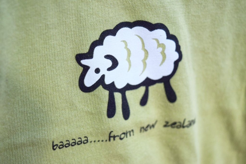 100 New Zealand Souvenirs for Your Friends and Family