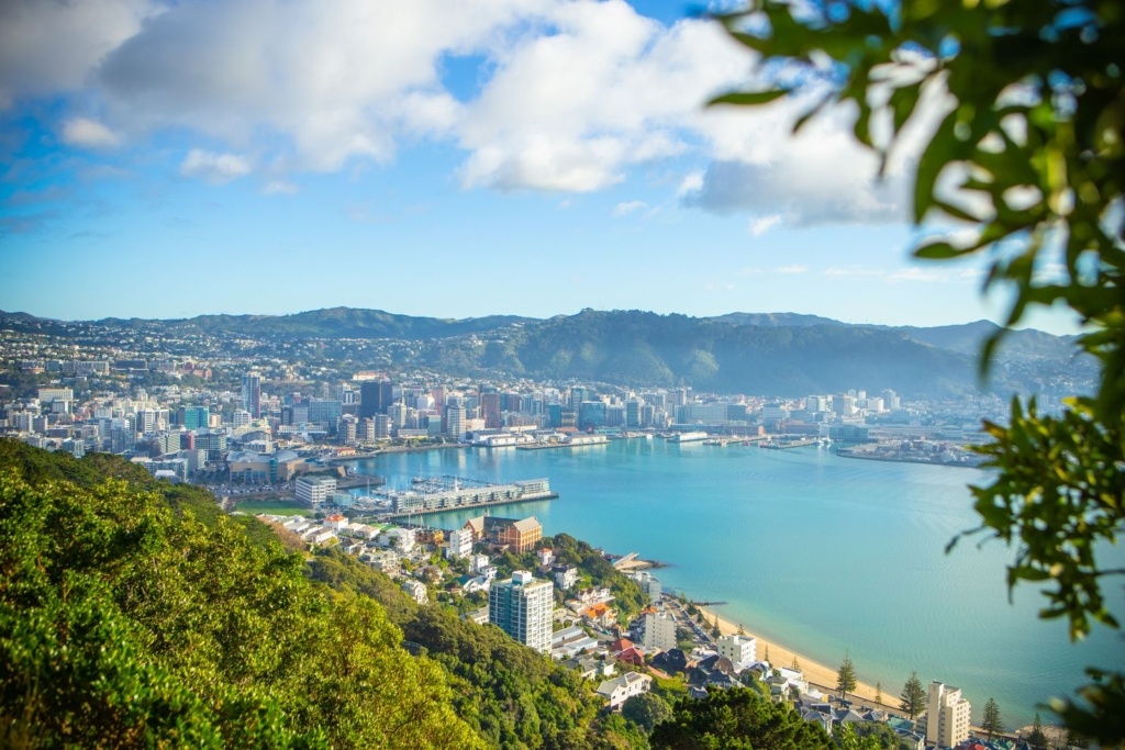 21 Free & Cheap Things to Do in Wellington