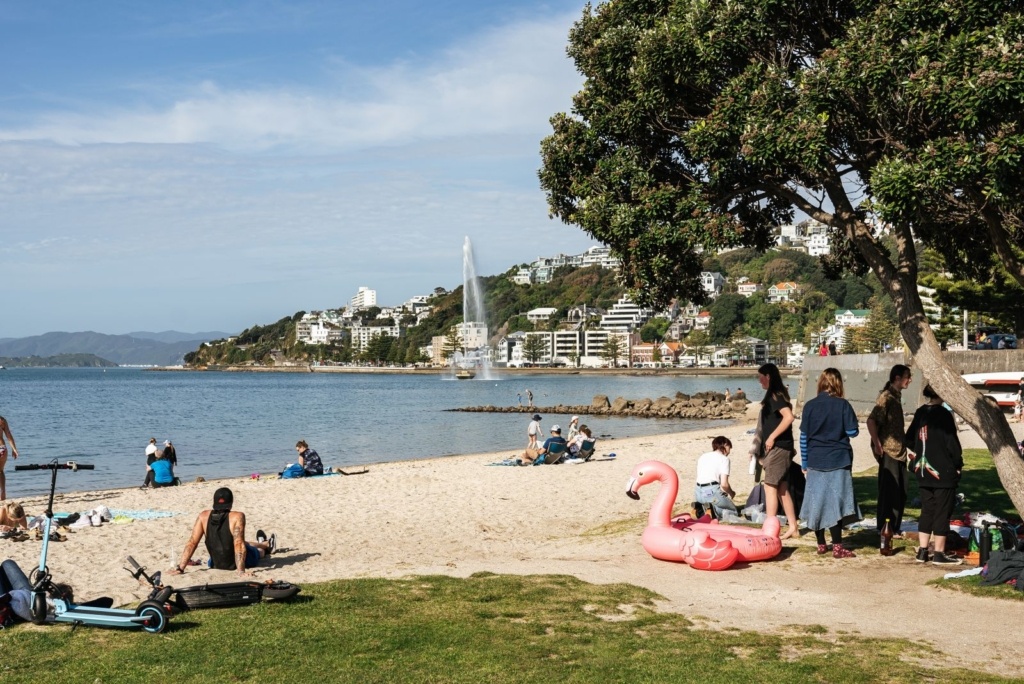 21 Free & Cheap Things to Do in Wellington