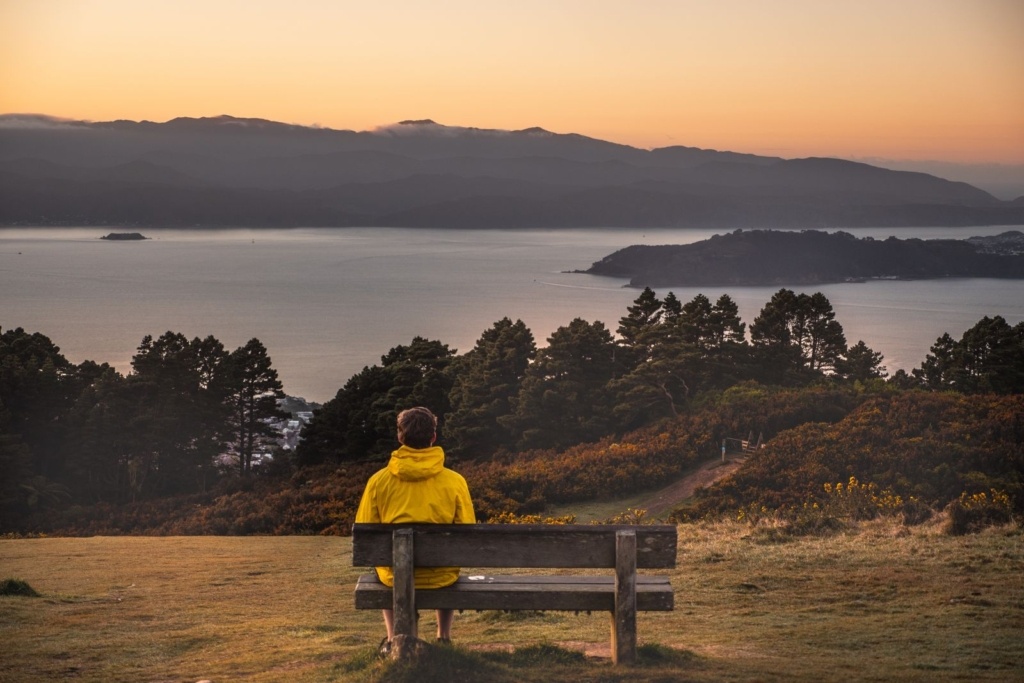 21 Free & Cheap Things to Do in Wellington