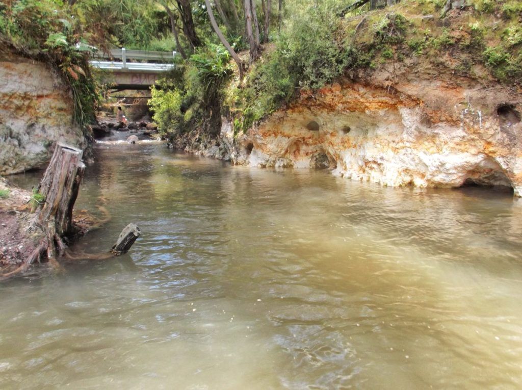 13 Free & Cheap Things to Do in Rotorua