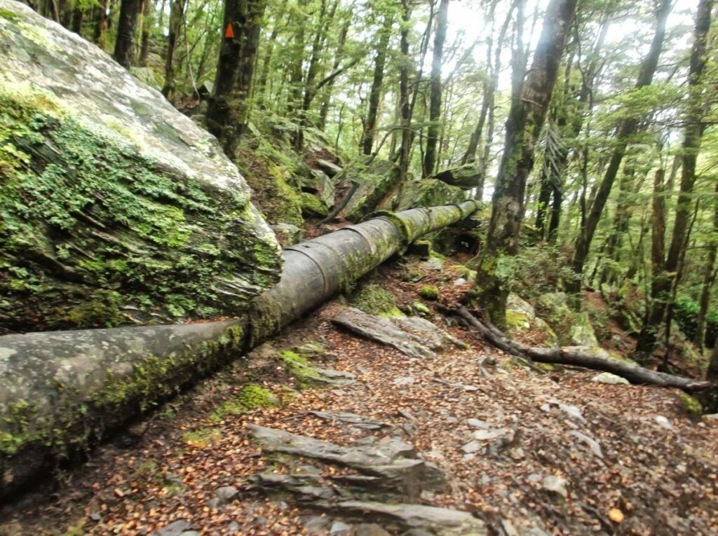 16 Free & Cheap Things to Do in Queenstown