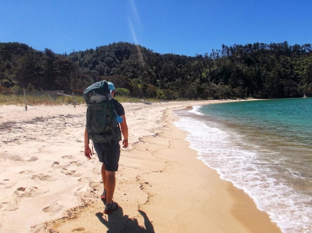 22 Stunning Beaches in New Zealand