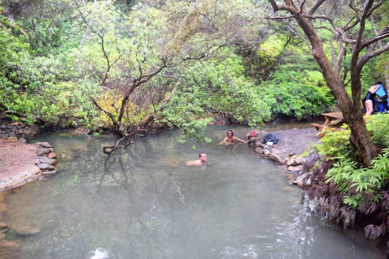 7 Free Natural Hot Springs in New Zealand