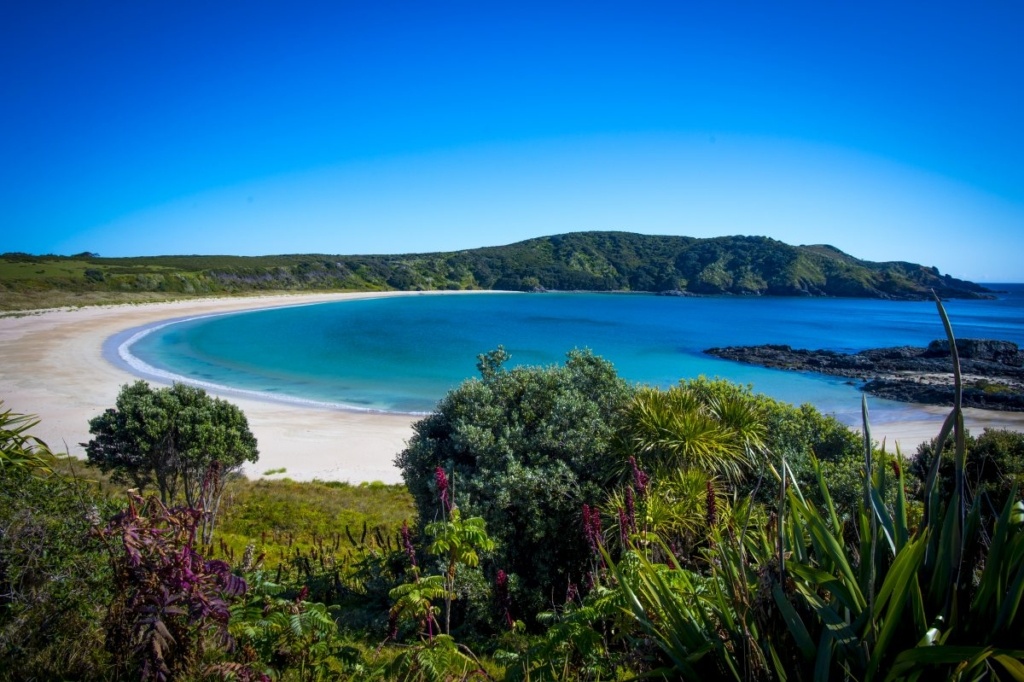 22 Stunning Beaches in New Zealand