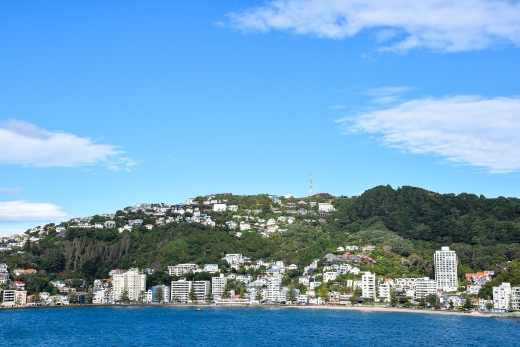 Wellington City - Guide for Backpackers