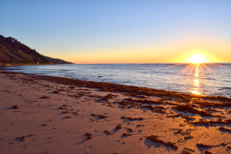 22 Most Beautiful Beaches in New Zealand