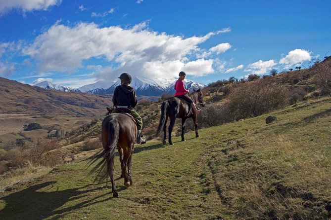 10 Best Horse Treks in New Zealand