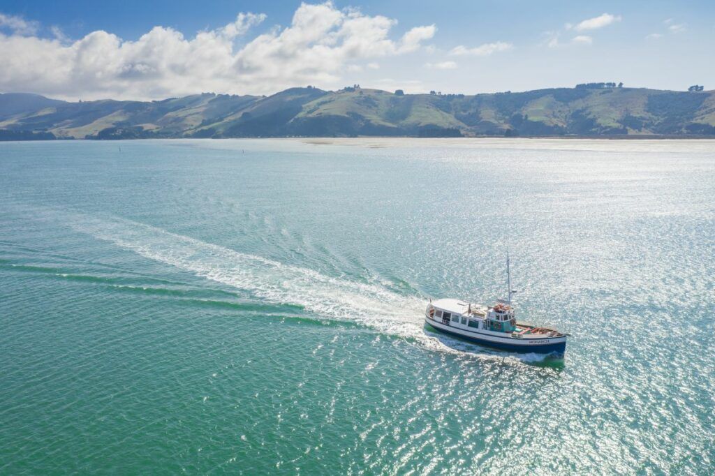 10 Best Boat Cruises in New Zealand ????️ [2023]