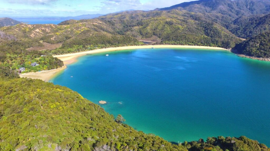 10 Best Boat Cruises in New Zealand ????️ [2023]