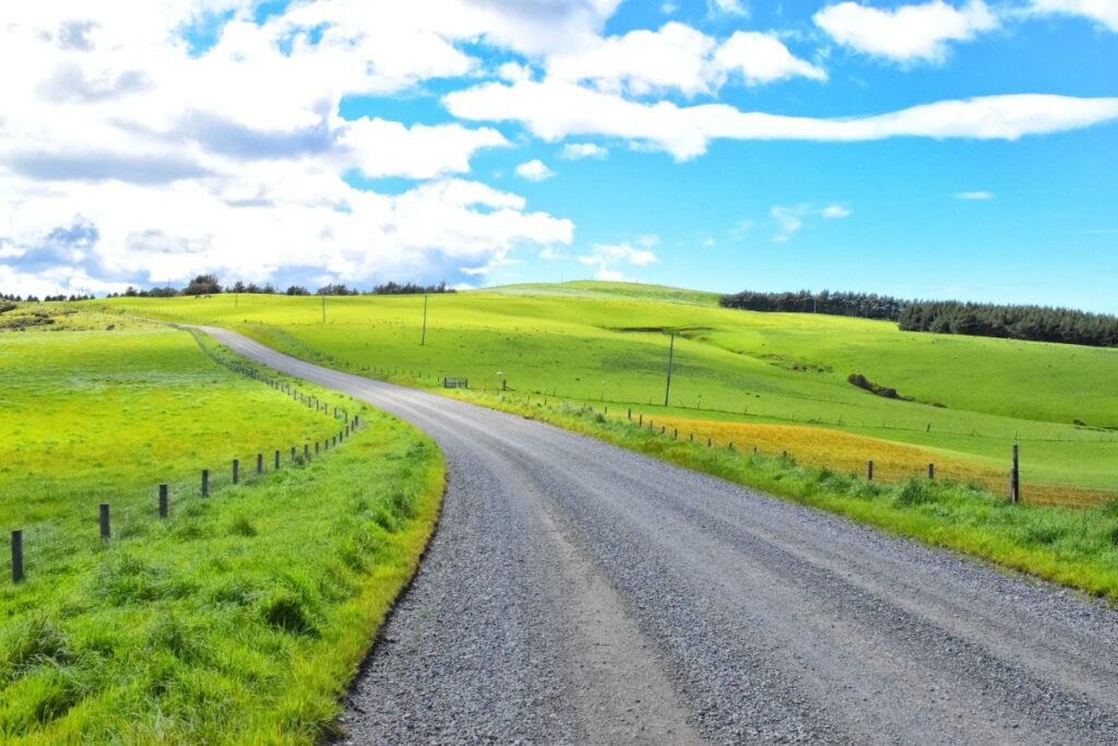 12 Safe Driving Tips for New Zealand