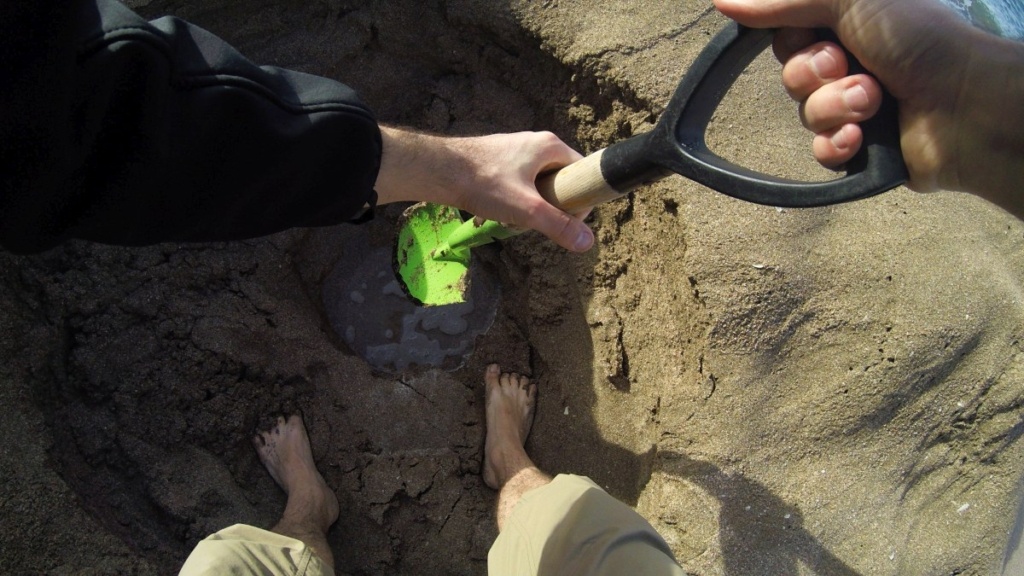 Coromandel - Guide for Backpackers