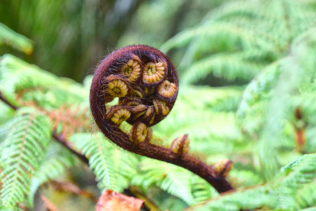 What a Qualmark Rating Means