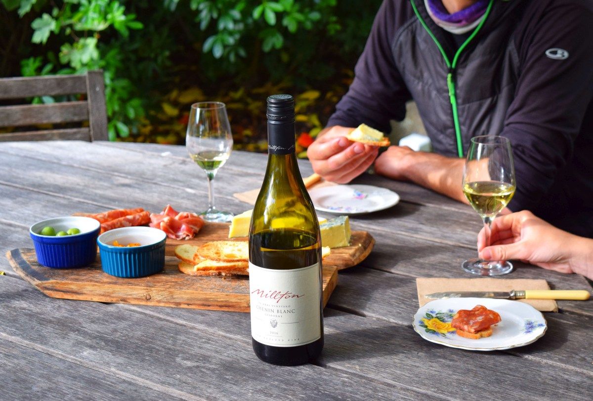 9 Best Winery Tours in New Zealand NZ Pocket Guide