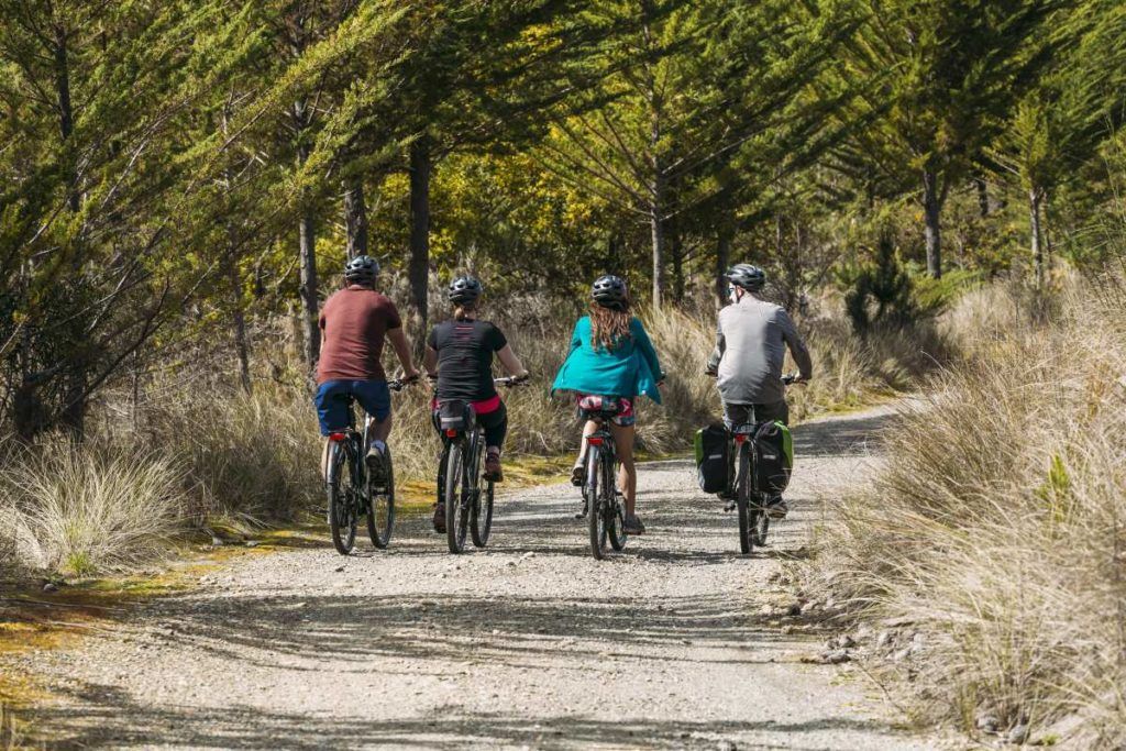 10 Great Bike Trails on the South Island