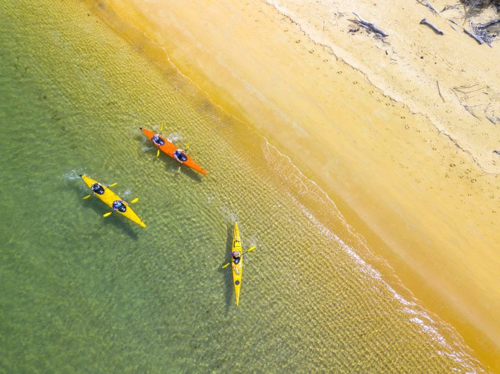 10 Golden Bay Must-Dos