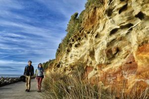 8 Wonderful Walks in New Plymouth