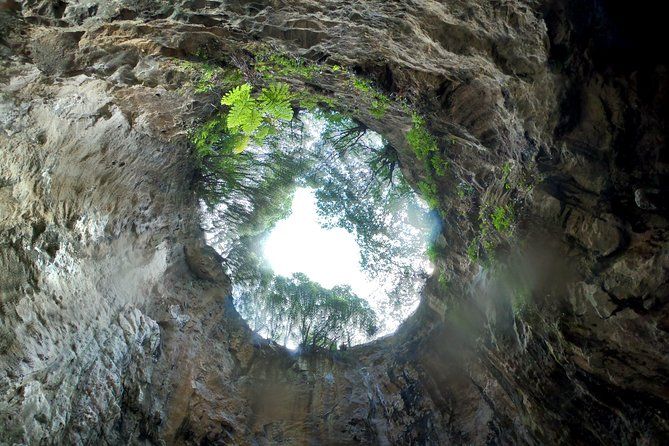 10 Features That Make The Coromandel Unique