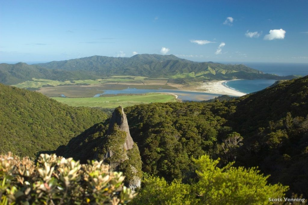 12 Must-Do Hikes on Great Barrier Island
