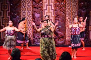 5 Reasons to Visit the Waitangi Treaty Grounds