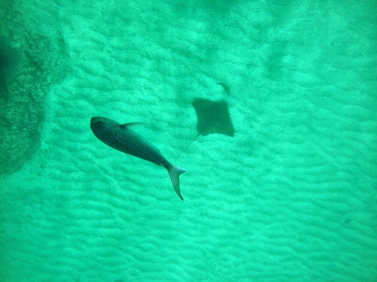 10 Free Natural Attractions in Eastland