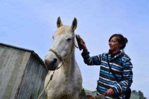 How to Find Work for Accommodation in New Zealand