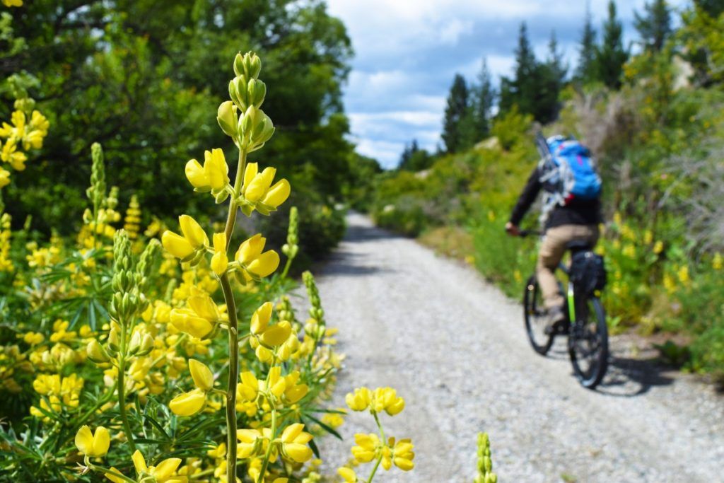 12 Super Scenic Cycle Trails in Otago