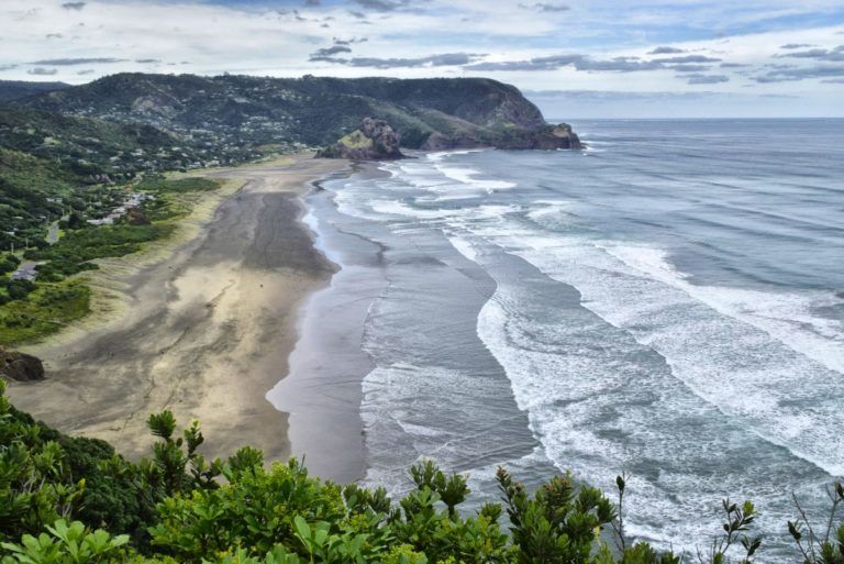 5 Auckland Road Trips You Can't Miss