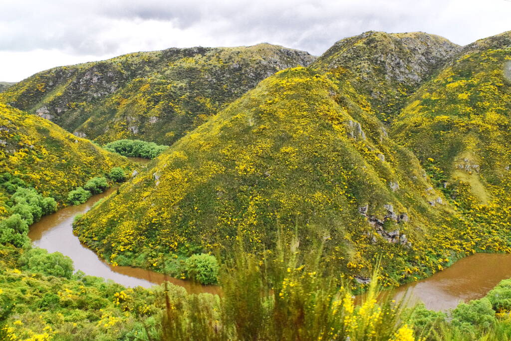 10 Hikes in the Catlins and Clutha District
