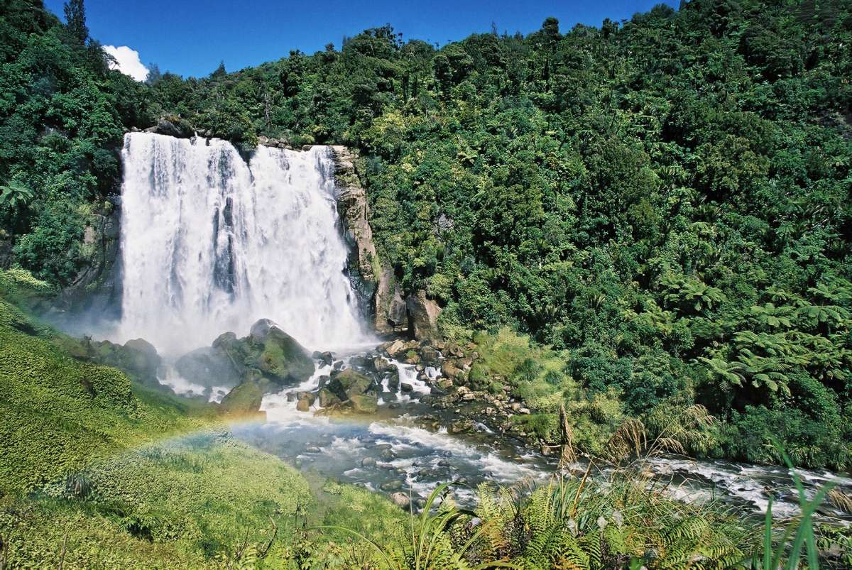 15 Free Things to Do in Waitomo