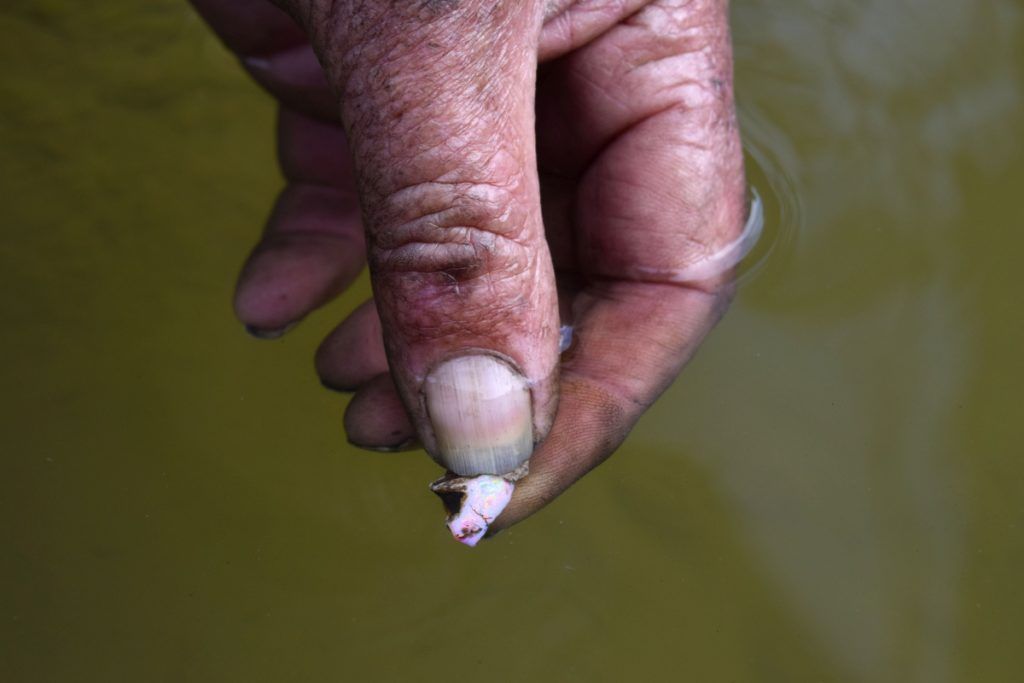 15 Awesome Things to Do in Reefton