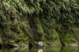 The Guide to the Whanganui Journey