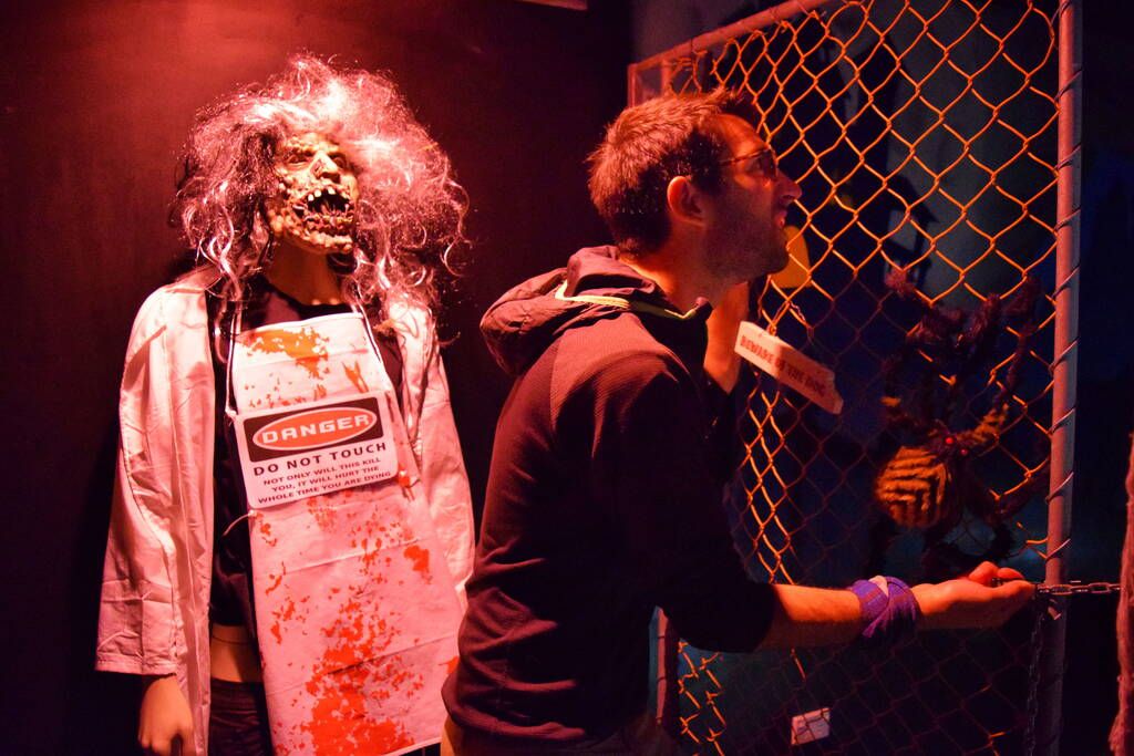 19 Things to Do on a Rainy Day in Auckland