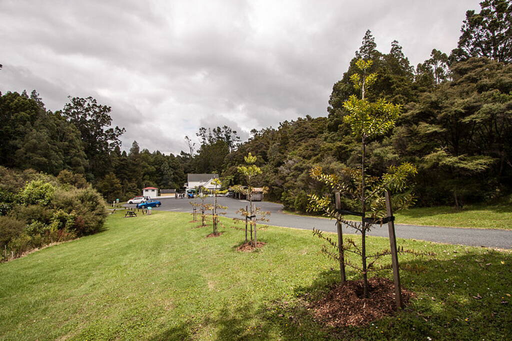 5 Free Camping Spots in Auckland