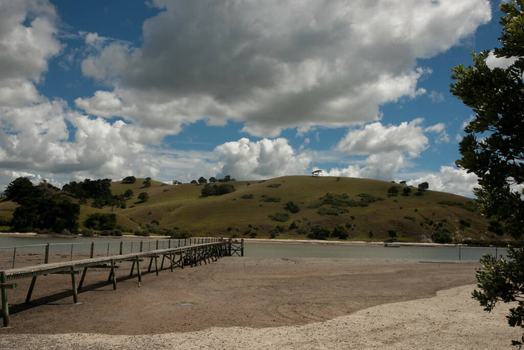 5 Free Camping Spots in Auckland