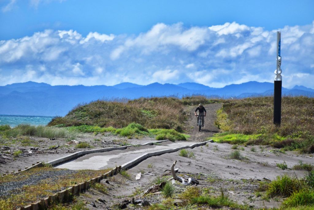 15 Opotiki Walks You Can't Miss