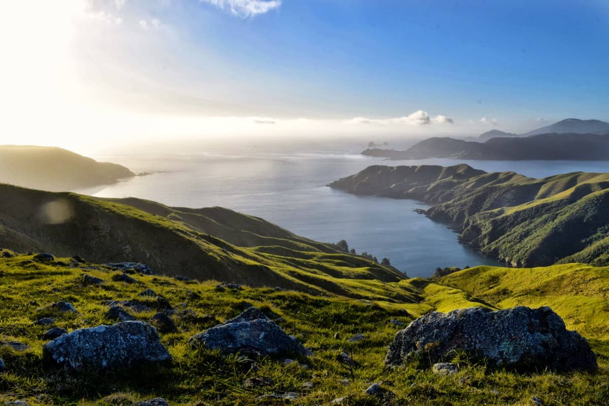 French Pass and D'Urville Island - Guide for Backpackers