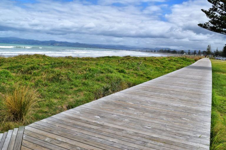 10 Best Walks in Gisborne