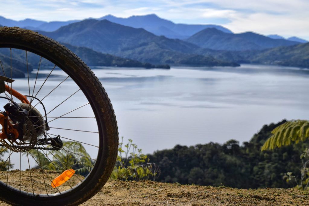 Mountain Biking in Marlborough
