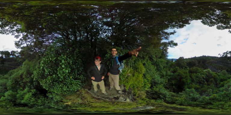 16 Best Lake Waikaremoana Walks