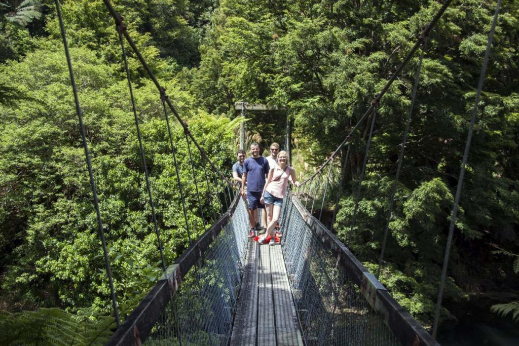 17 Stunning Lake Waikaremoana Walks