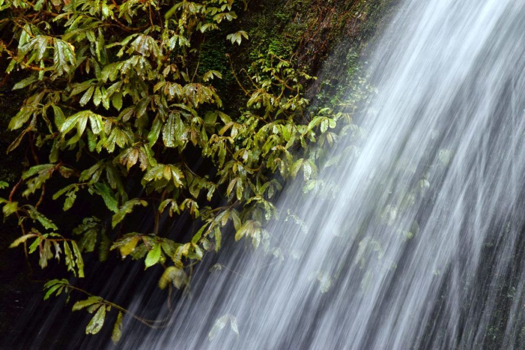 Top 10 Natural Attractions in Hawke's Bay