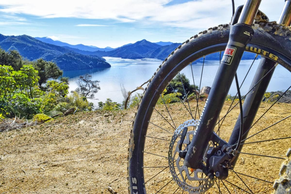 Mountain Biking in Marlborough