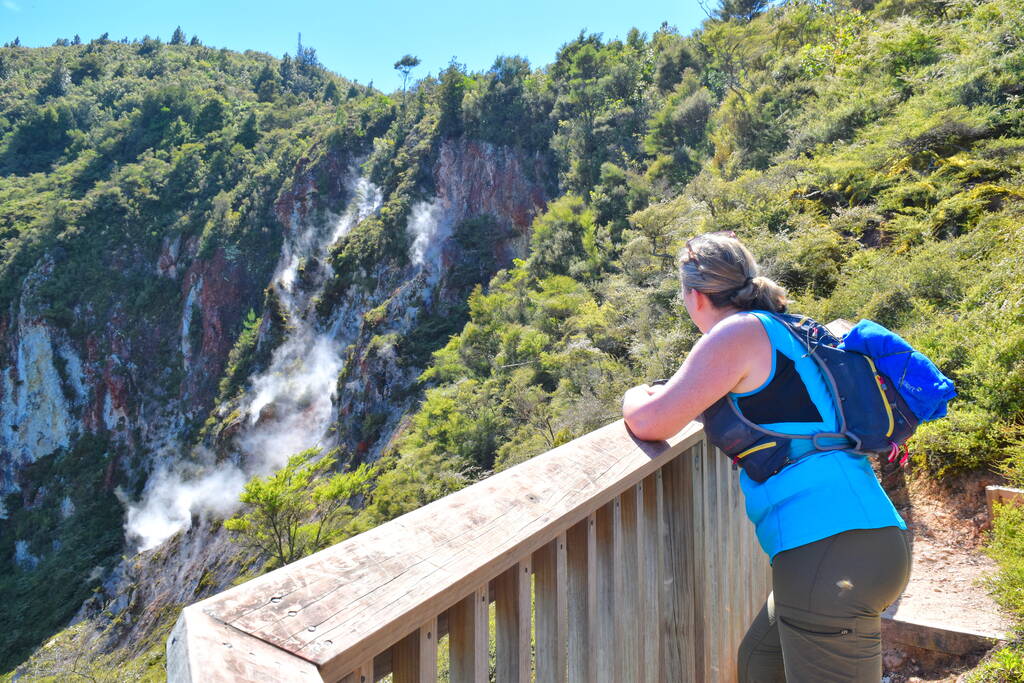 Te Urewera Rainforest Route: 9 Epic Stops!