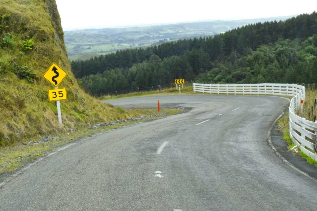 Why You Need an International Driving Permit for New Zealand